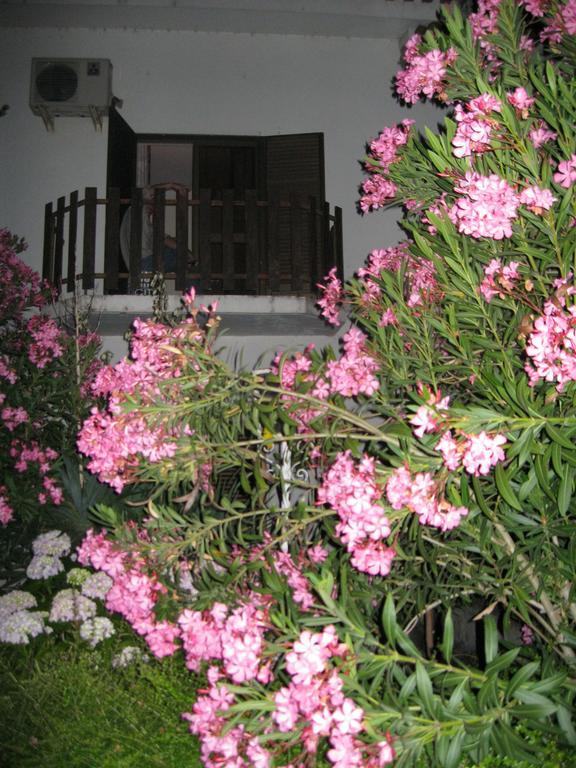 Casa Morgado Hotel Almeida Buitenkant foto